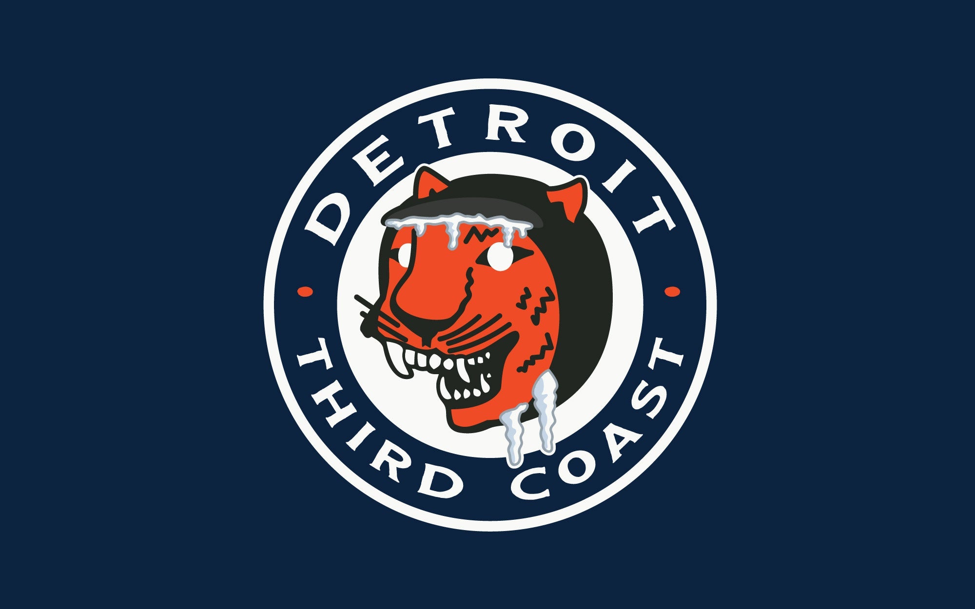 Detroit, Ice Beard, Great lakes, michigan, surfing, tiger, third coast